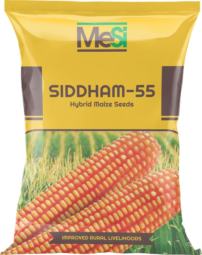 Siddham-55